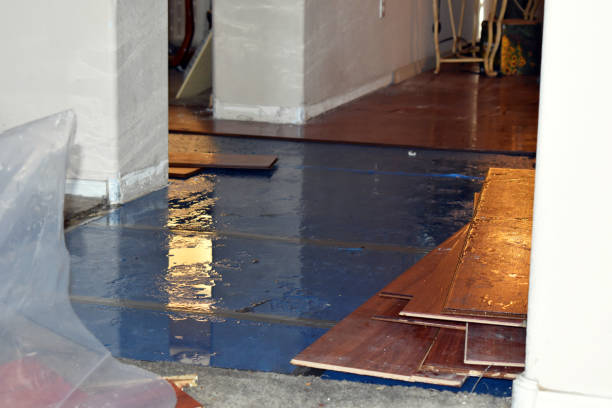 Professional Basement Flood Cleanup technician working in Ellis Grove, IL